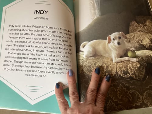 Customer photo review of Cutest Pets of the Month 2025 Photobook