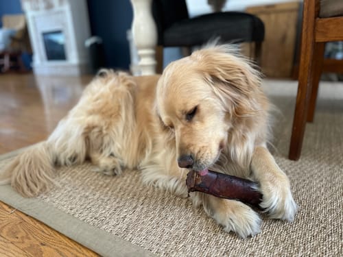 Customer photo review of The Essential Treat Pack