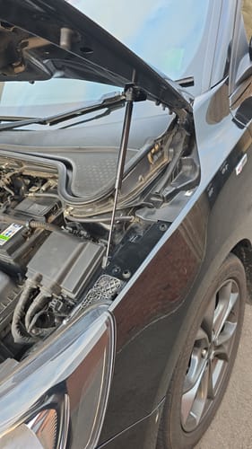 Customer photo review of Ford Focus MK4/MK4.5 Bonnet Struts