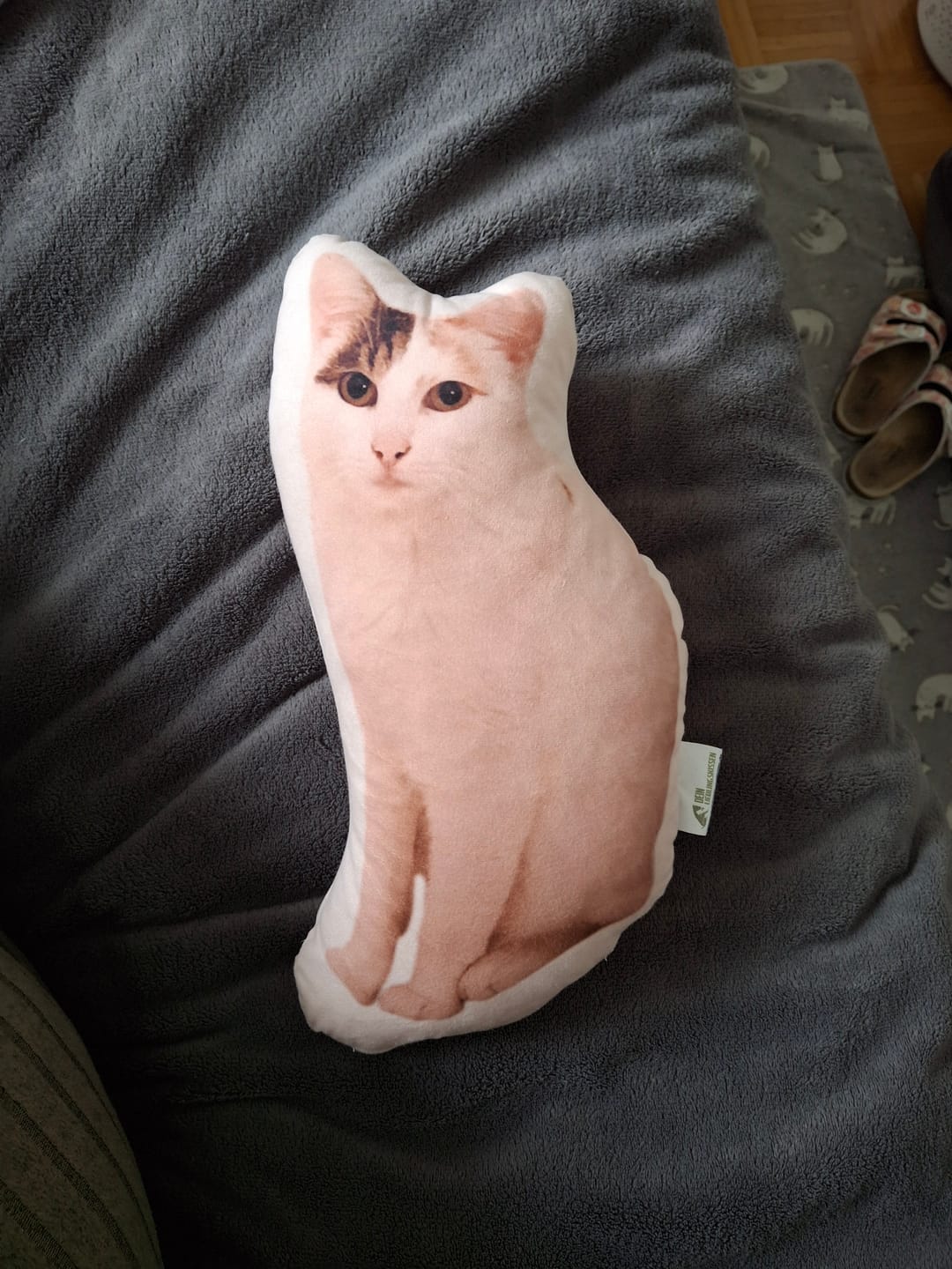 Customer photo review of Personalisiertes Katzenkissen