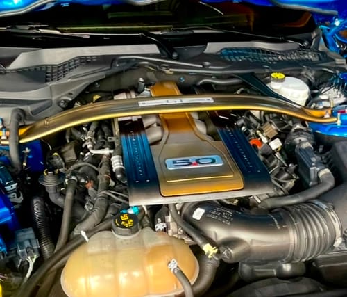 Customer photo review of Egyptian Gold Spray Can Midcoat