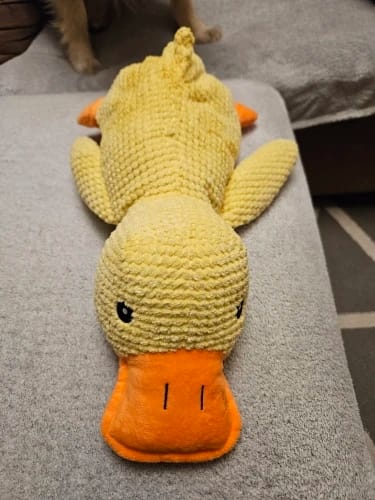 Customer photo review of Calming Duck Toy