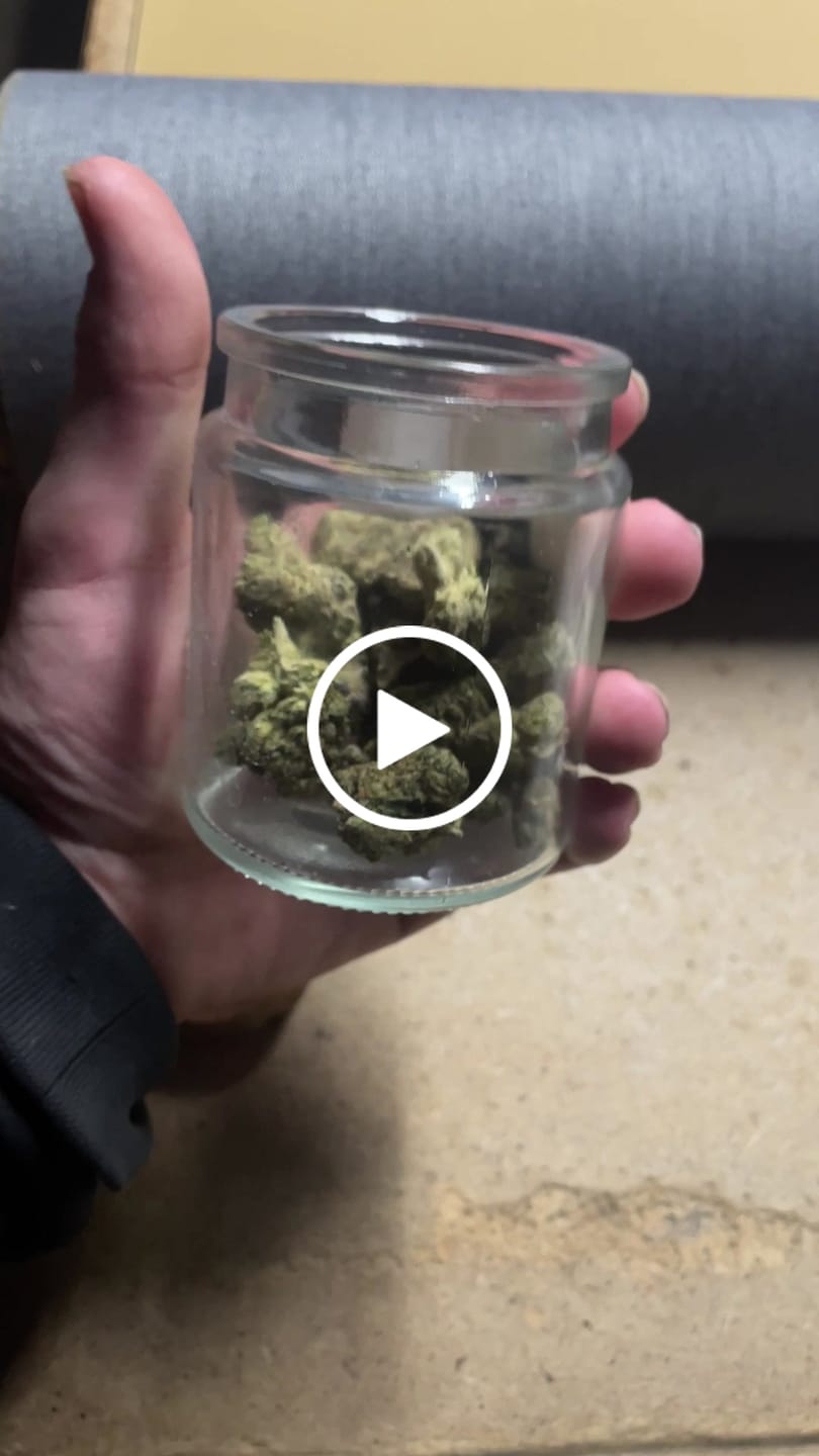 Customer video review of Exotic Smalls