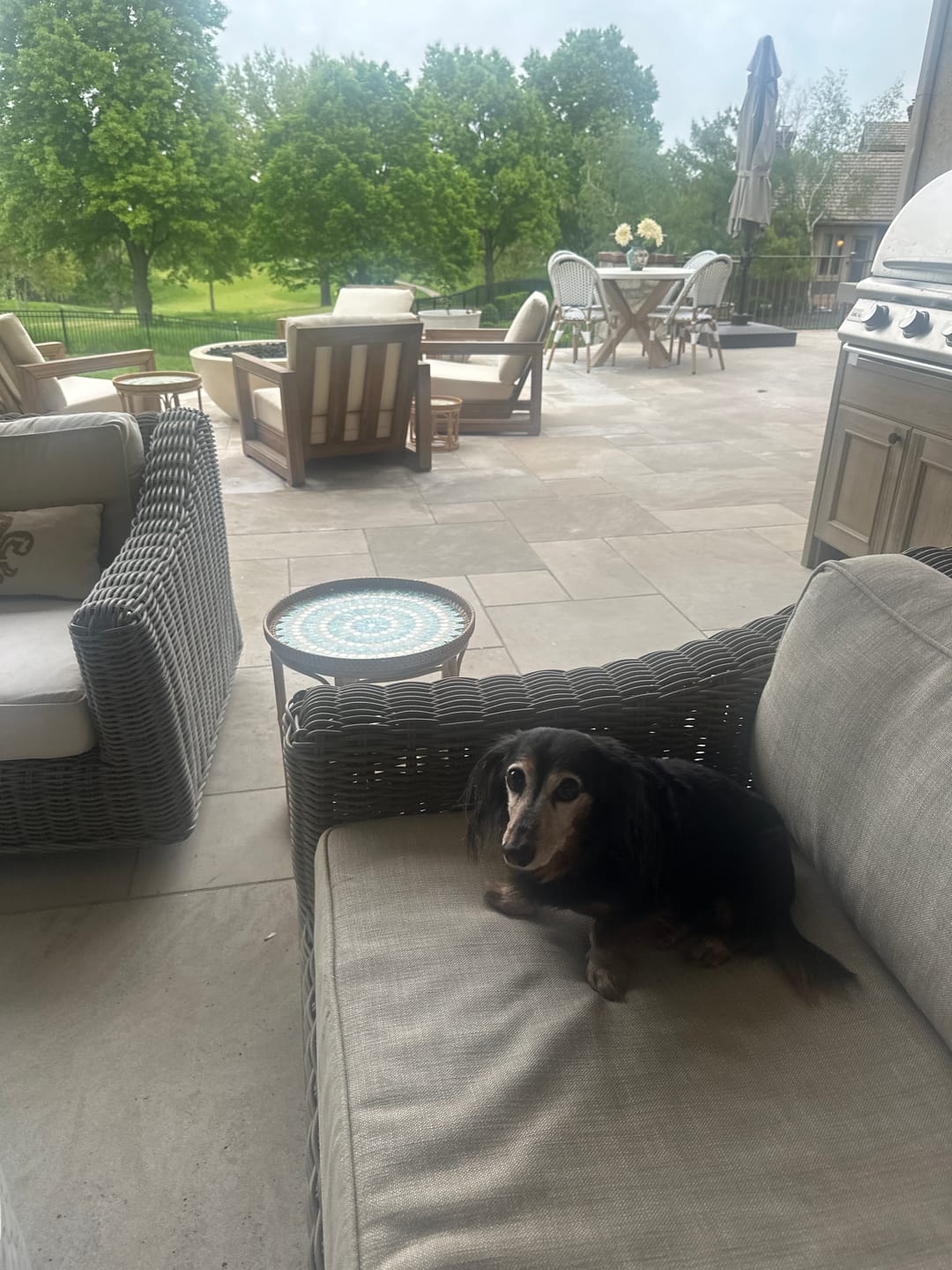 Customer photo review of Serene Rattan Table