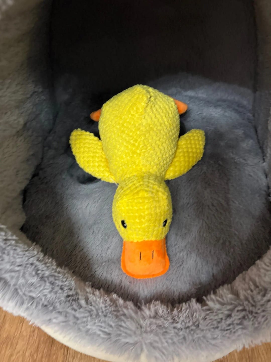 Customer photo review of Calming Duck Toy