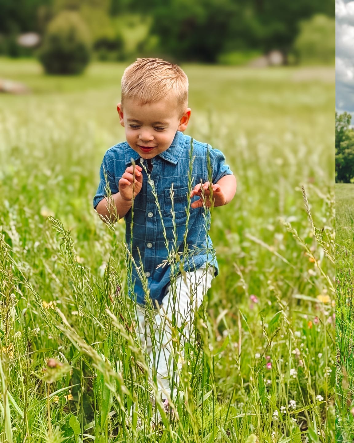 Customer photo review of Starter Preset Bundle