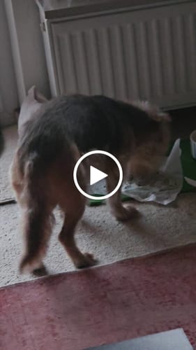 Customer video review of Uro Hero