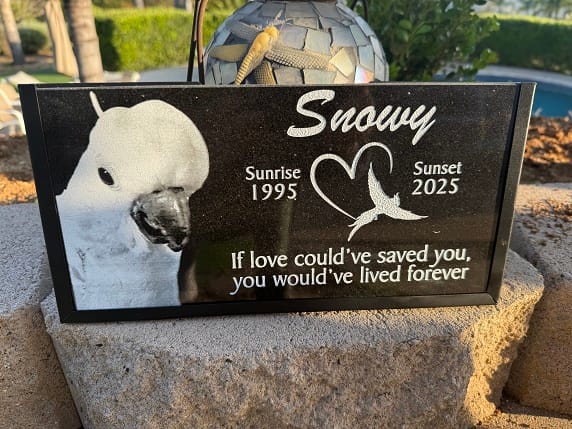 Customer photo review of Personalized Outdoor Black Granite Dog Memorial Plaque with Stake