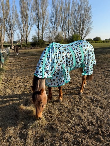 Customer photo review of Wild One Fly Rug