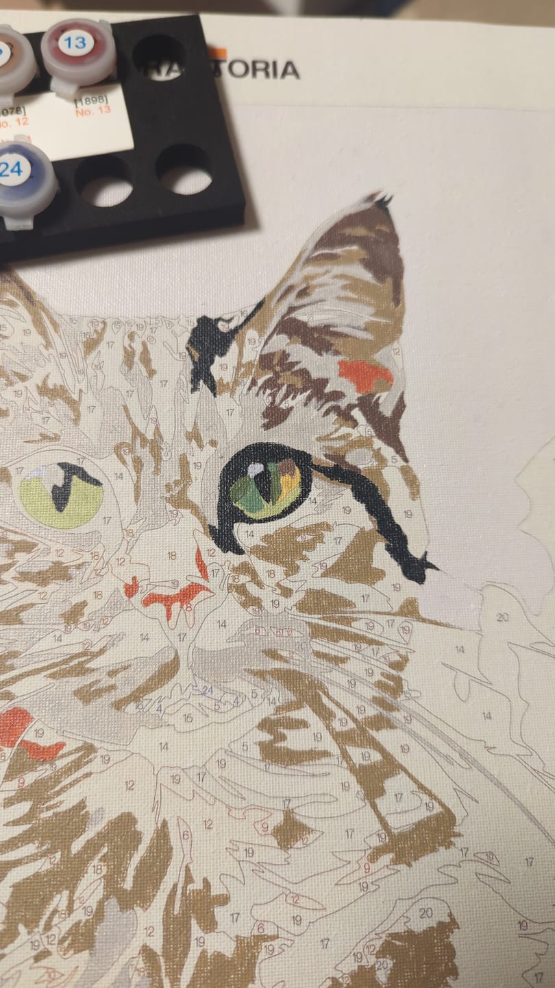 Customer photo review of Floral Chartreux Cat