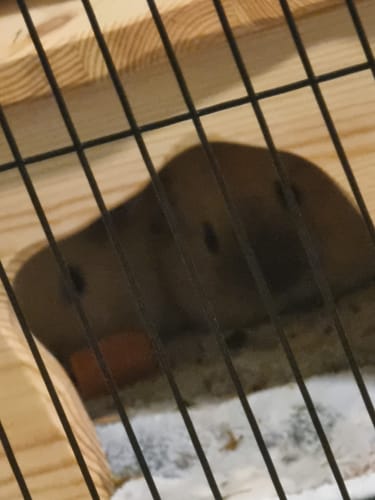 Customer photo review of Farmhaus 2.0