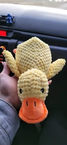 Customer photo review of Calming Duck Toy
