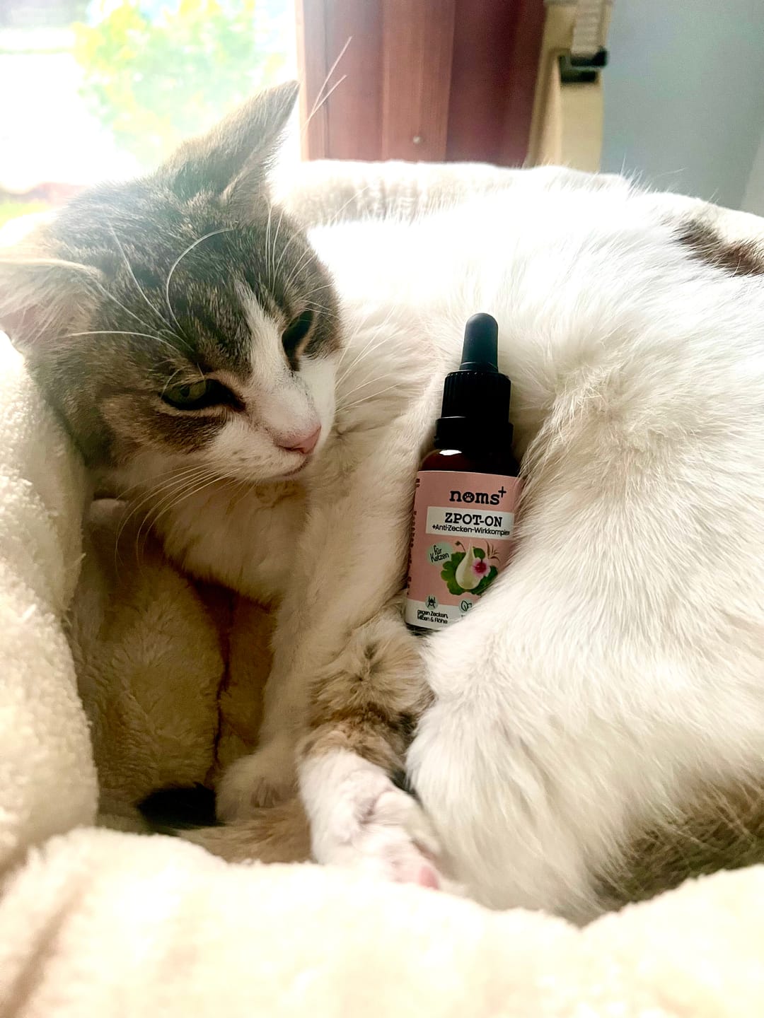 Customer photo review of Zpot-on für Katzen gegen Zecken, Flöhe, Milben & Mücken [Jahresvorrat]