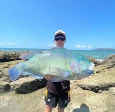 Customer photo review of GUPPIE SHAD