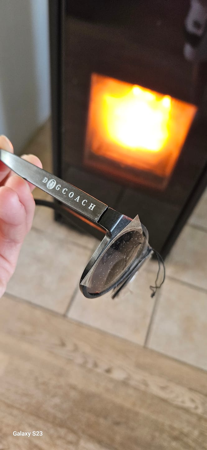 Customer photo review of DogCoach Solbriller