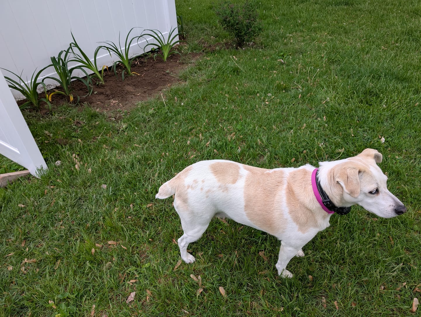 Customer photo review of FurLife Shipping Protection