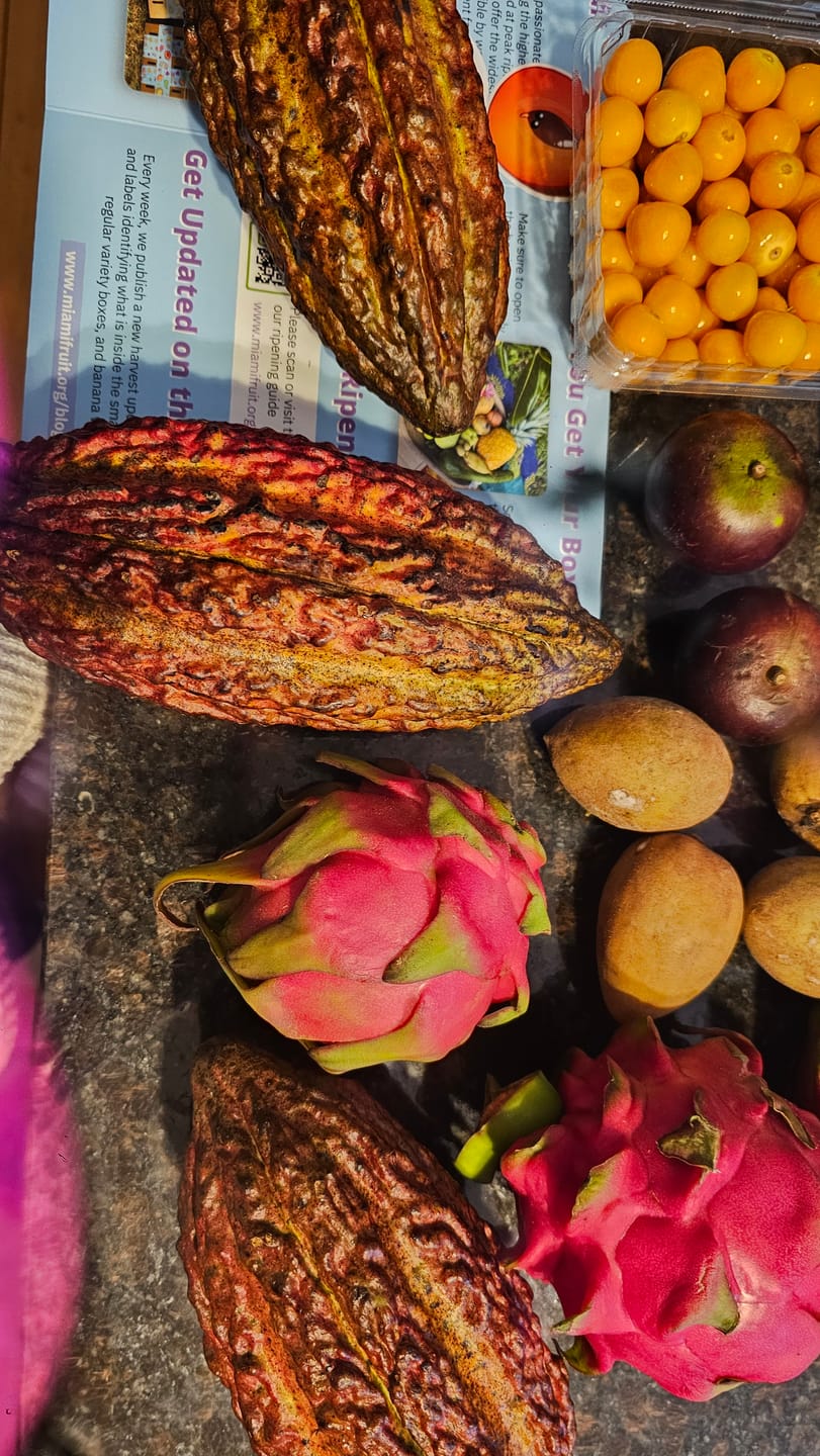 Customer photo review of Build Your Own Tropical Fruit Box