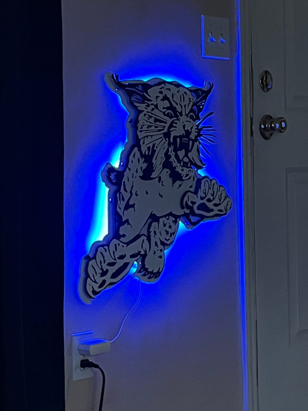 Customer photo review of Kentucky Wildcats "1973" 3D Vintage Metal Wall Art