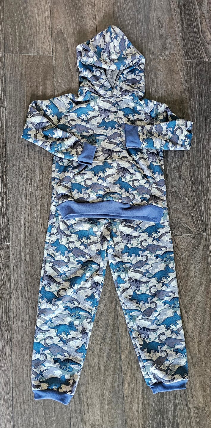Customer photo review of Dinosaurs Sweatshirt Fabric