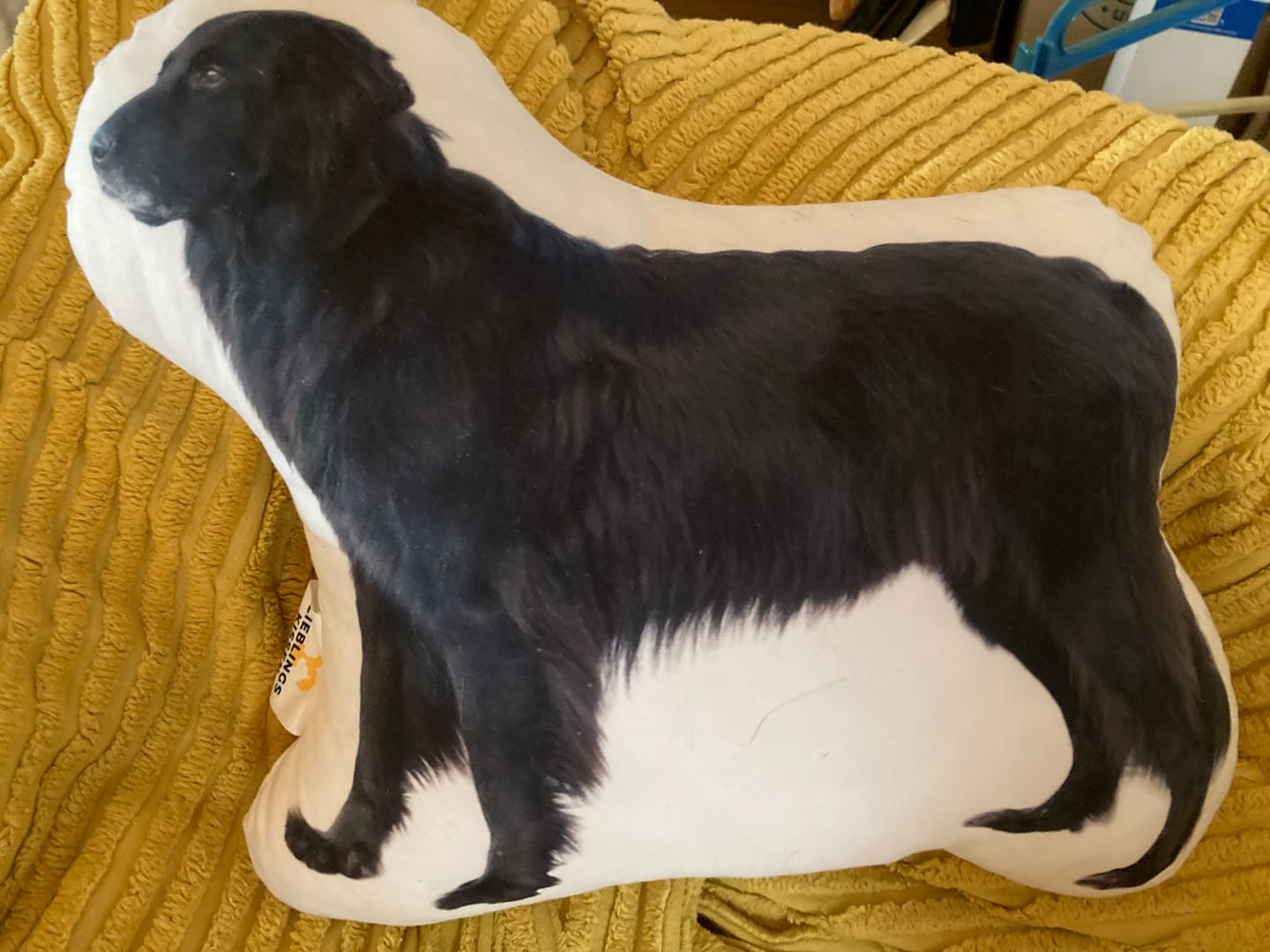 Customer photo review of Personalisiertes Katzenkissen