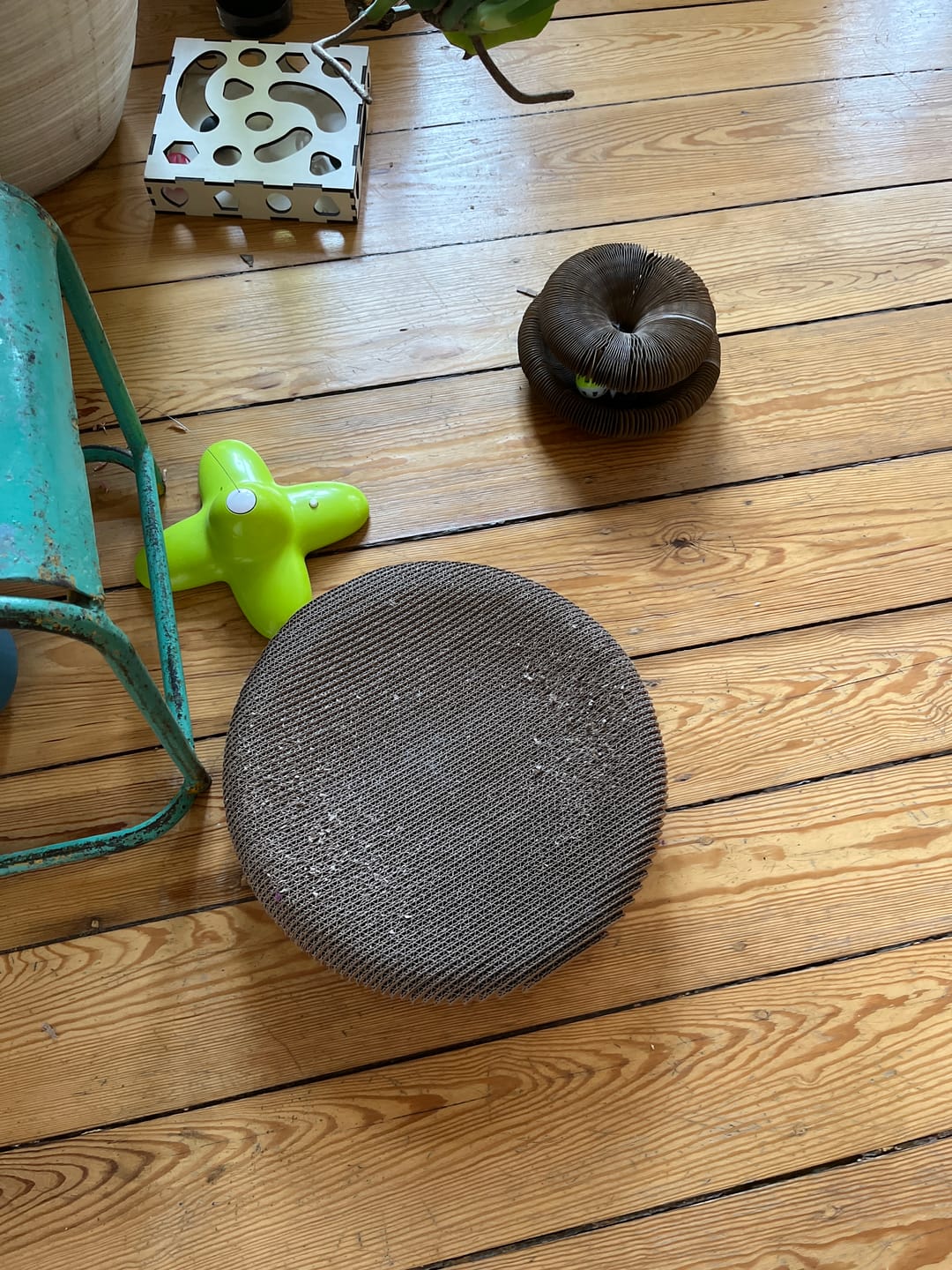 Customer photo review of Katzenbett Pawfect Relax