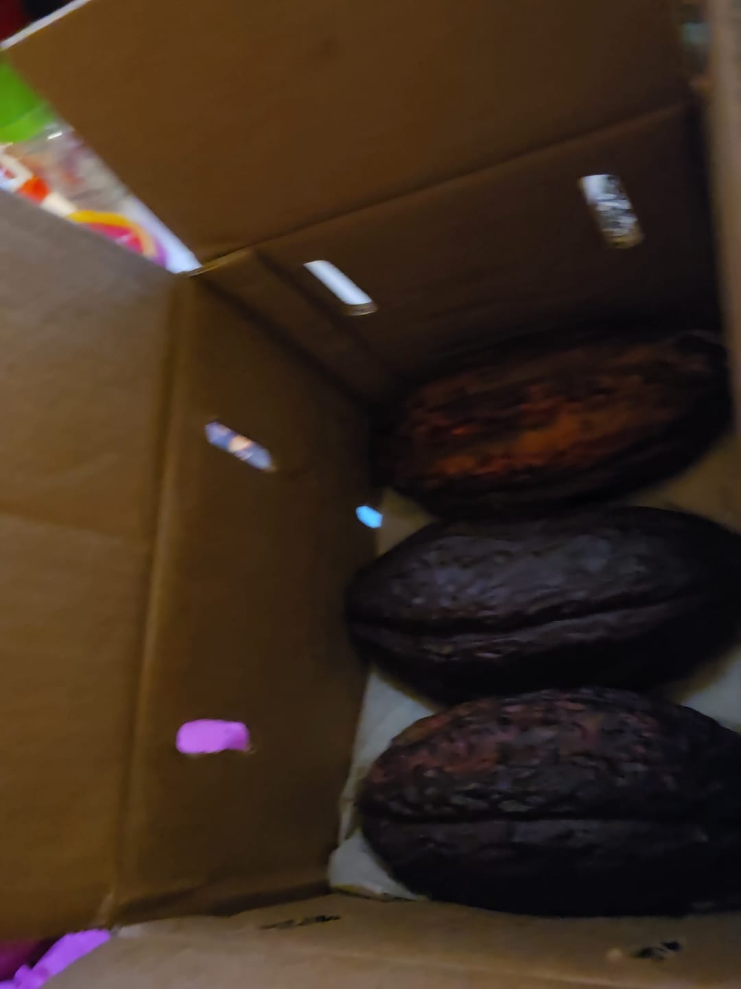 Customer photo review of Cacao (Chocolate)