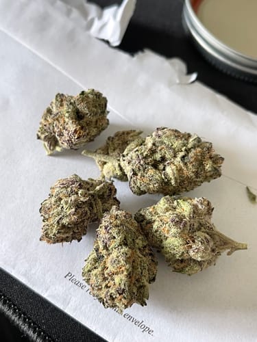 Customer photo review of Purple Urkle