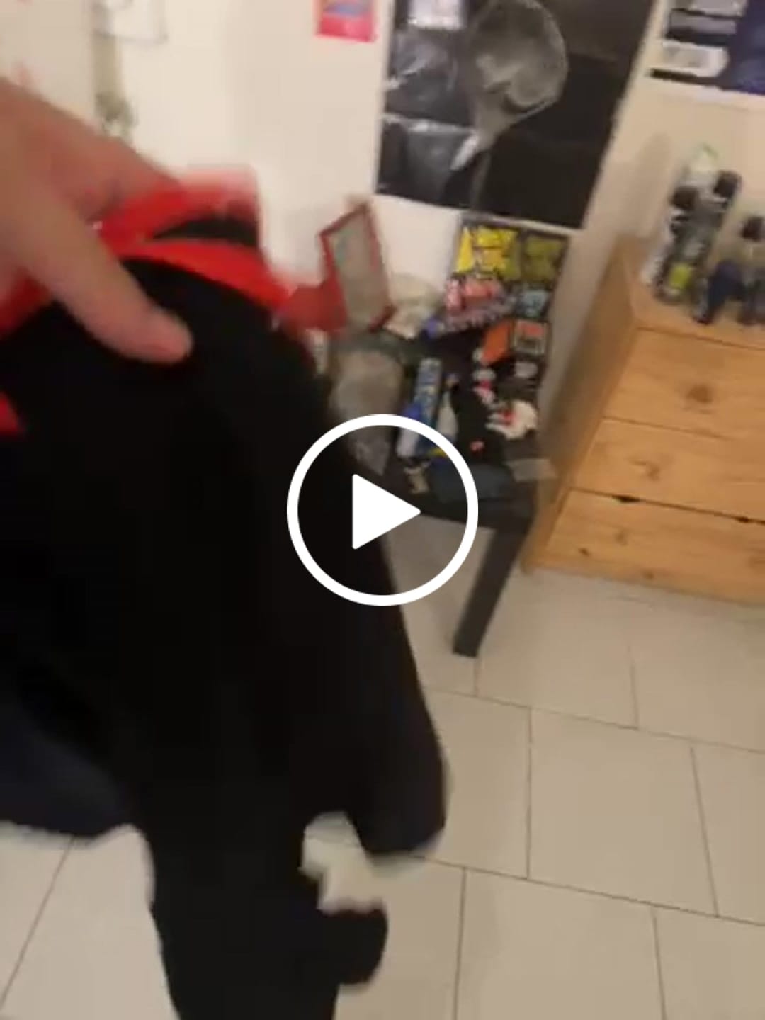 Customer video review of Kurahan Pants