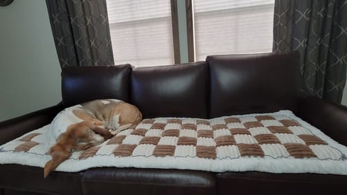 Customer photo review of NEW 2-in-1 Furniture Protector & Dog Bed Couch Cover with Thick Orthopedic Padding, Non-Slip Grip, Scratch-Resistant Surface & Machine-Washable Fabric
