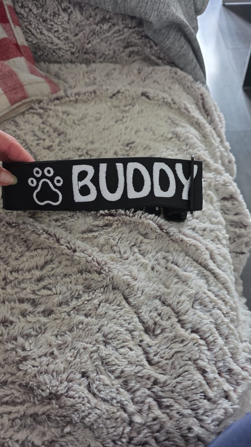 Customer photo review of 5cm Combat® Collar | With Handle & Secure Clip - Black