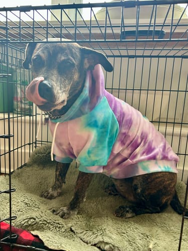 Customer photo review of Velvet Dog Hoodie - 90s Retro