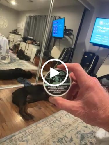 Customer video review of Refreshing Chill Nicotine Pouches