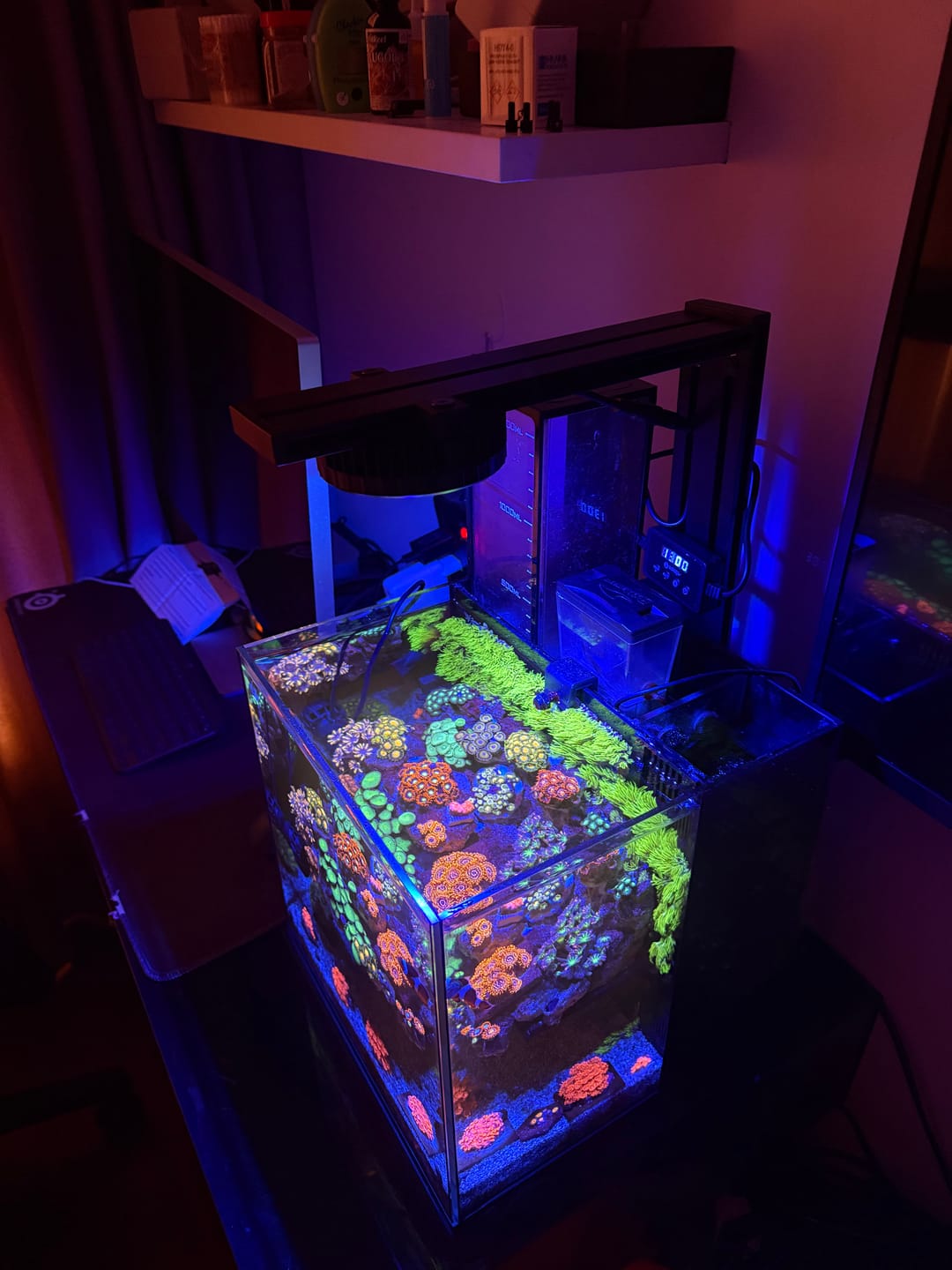 Customer photo review of Pixel LED Bundle