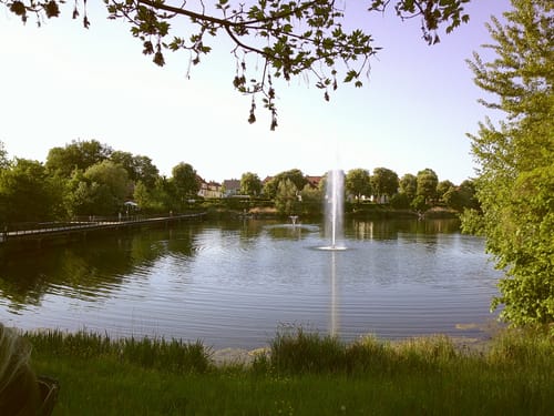 Customer photo review of NUVINT - Digitalkamera