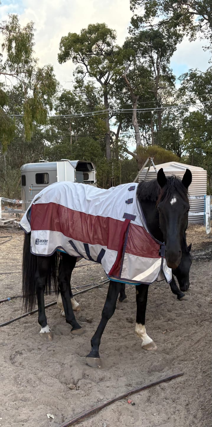 Customer photo review of LE Boxter Hybrid Mack Turnout 0g