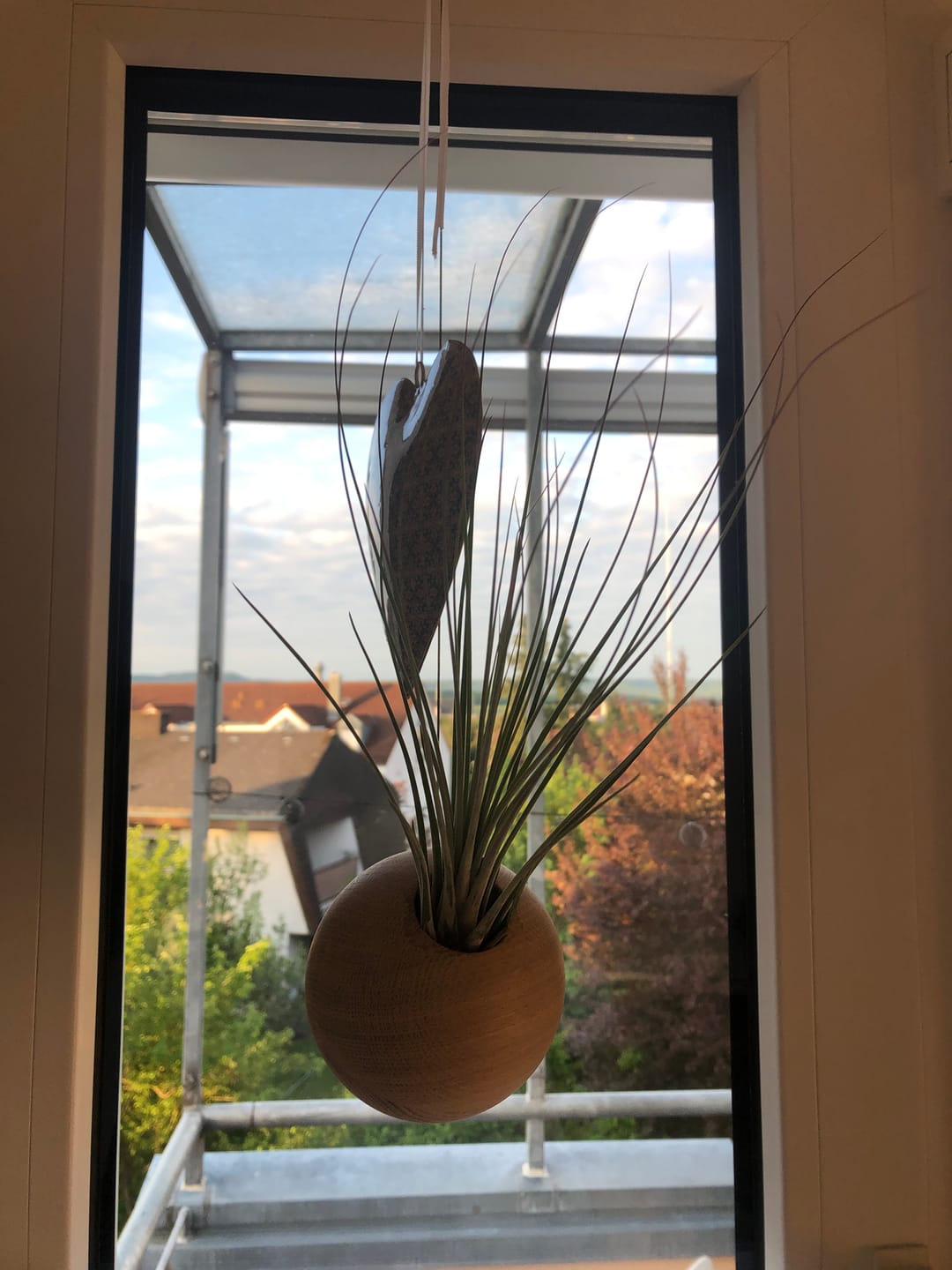 Customer photo review of Tilly Xylo Globus