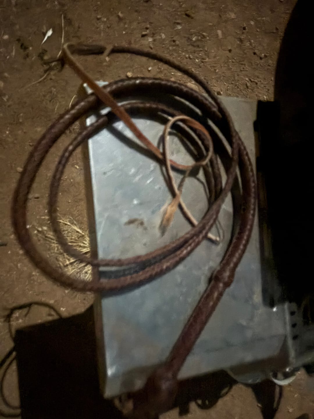 Customer photo review of Bull Whip 6, 8, 10, 12, 14 & 16 Feet long 16 Strands Kangaroo Hide Leather Equestrian Bullwhip Leather Belly and Bolster Inside, Indiana Jones Dark Brown