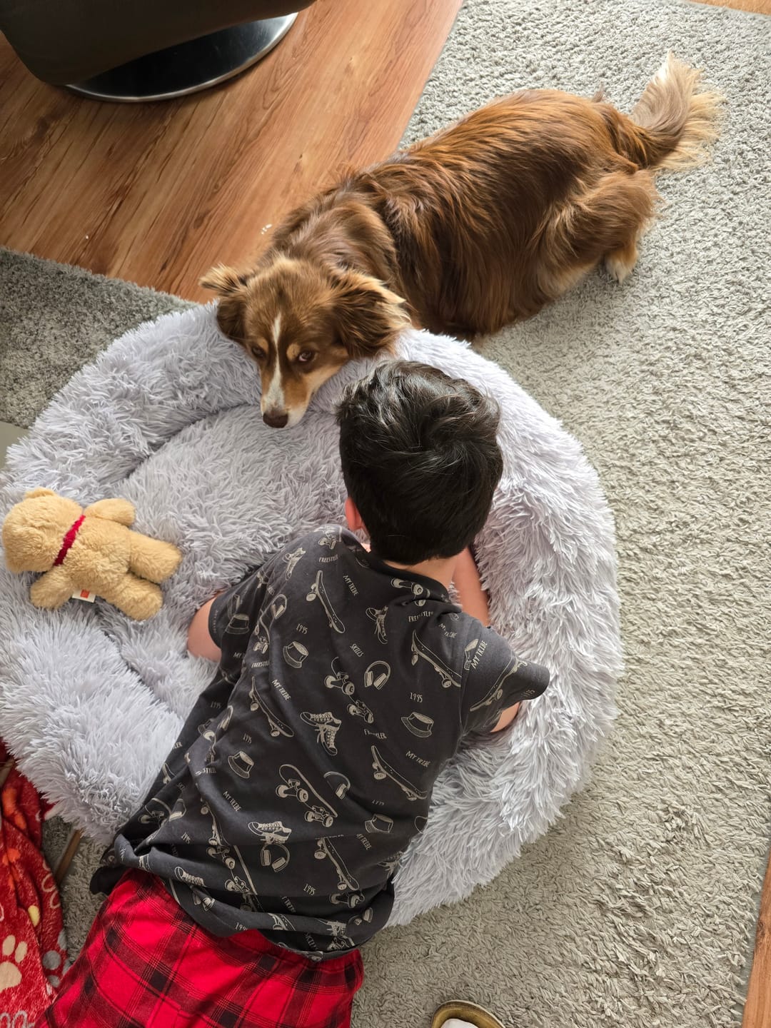 Customer photo review of Hundebett Belune® - Das Original