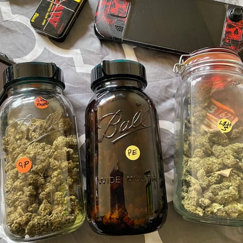 Customer photo review of Pineapple Express THCA Flower
