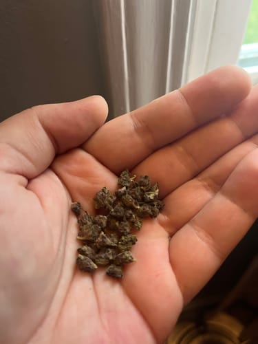 Customer photo review of 420 Special - 28 Grams Littles - $42.00