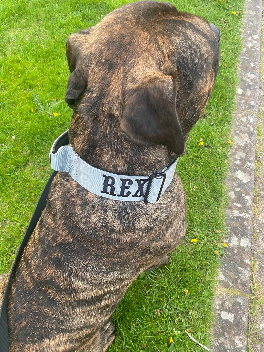 Customer photo review of 5cm Combat® Collar | With Handle & Secure Clip - Metal Grey