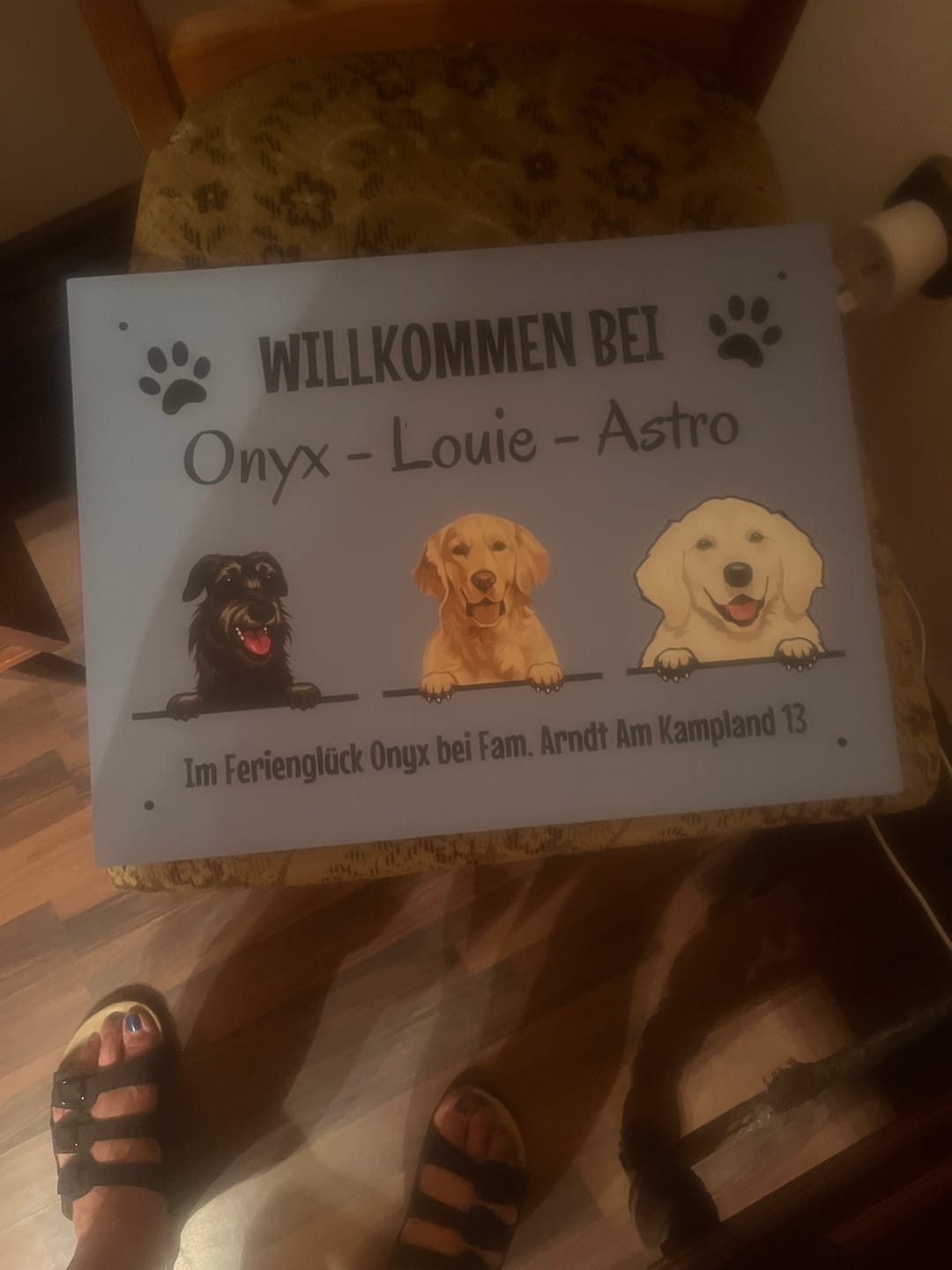 Customer photo review of Spähende Haustiere - Individuelles Türschild