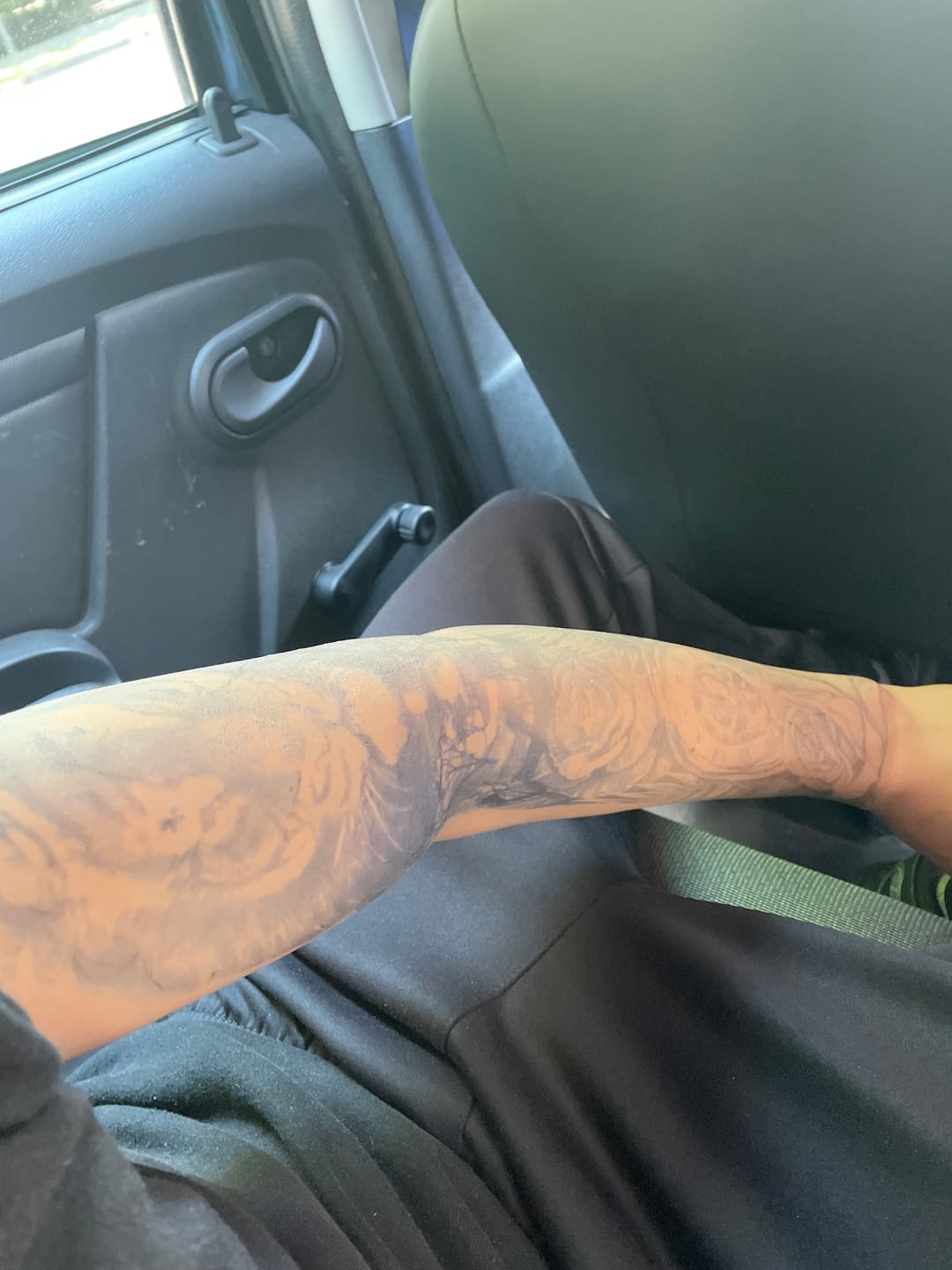 Customer photo review of Sunshine tiger