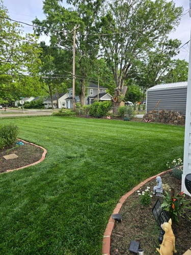 Customer photo review of Imidacloprid 2F