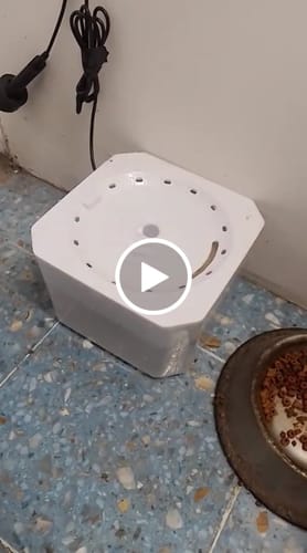 Customer video review of CT1682 1 Pieza De Fuente De Agua Para Gatos