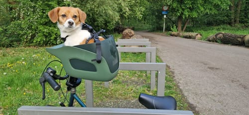 Customer photo review of Kvisp Dog Bike Carrier