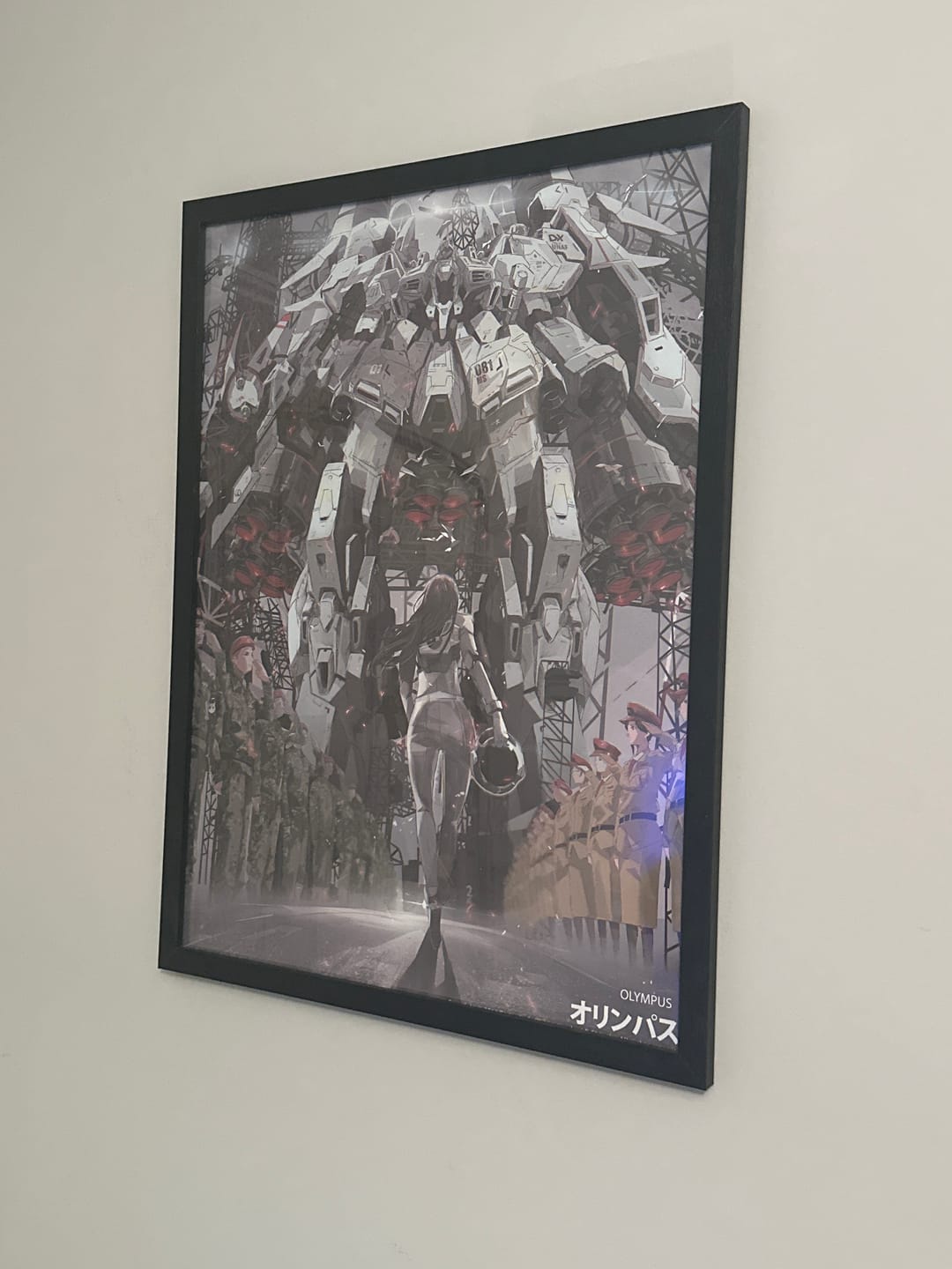 Customer photo review of Olympus (18x24)