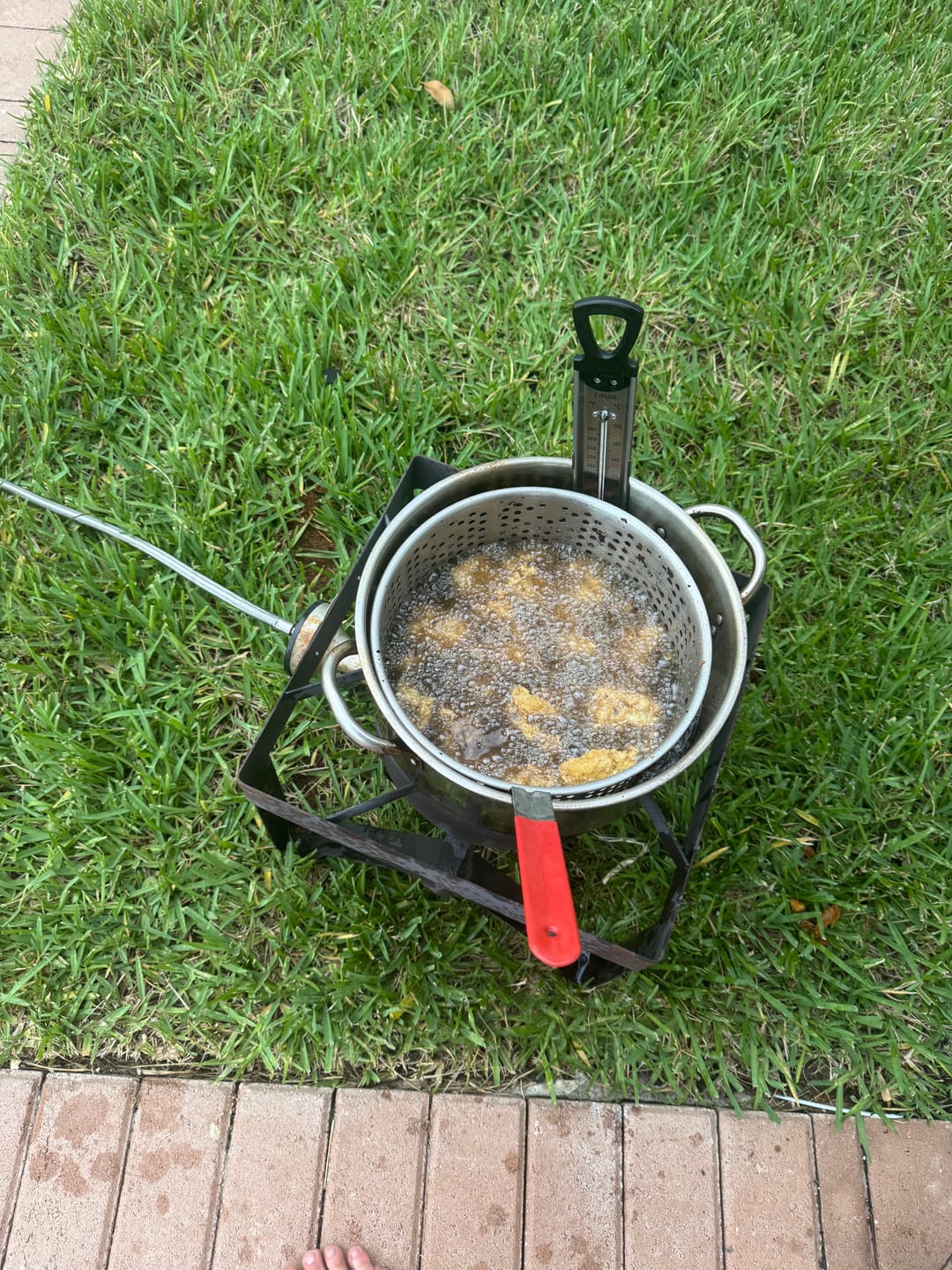 Customer photo review of 1 Gallon Organic Grass-Fed Beef Tallow