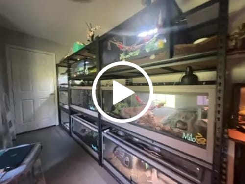 Customer video review of REIBII 48.2"W x 24“D Garage Storage Shelves, 3000LBS Heavy Duty Metal Shelving for Basement Warehouse Commercial