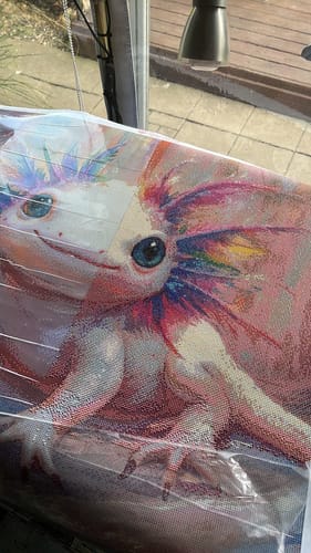 Customer photo review of 5D Diamond Painting mit AB-Effekt – Regenbogen-Axolotl